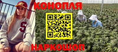 крисы Бузулук