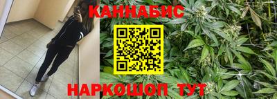 крисы Бузулук