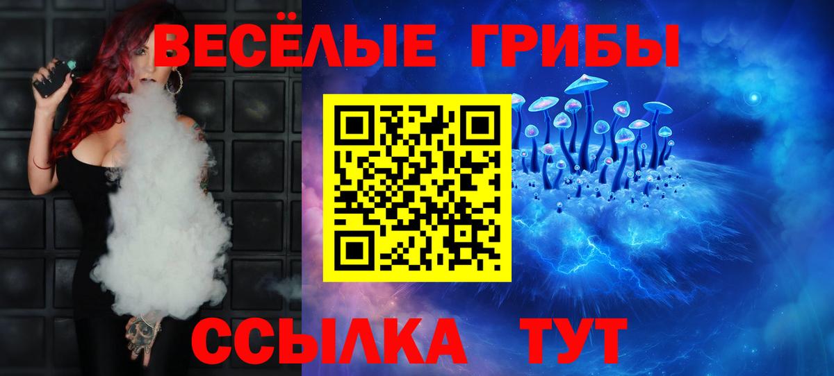 Псилоцибиновые грибы GOLDEN TEACHER Бутурлиновка